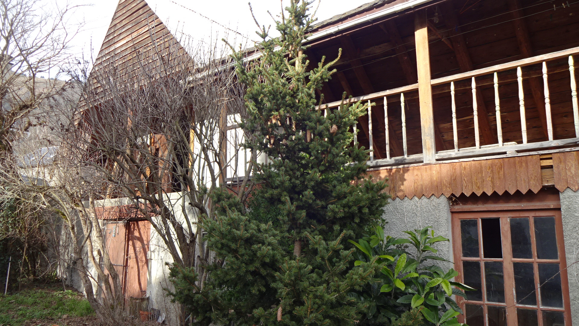 Photo 5